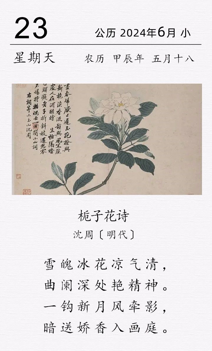 沈周《栀子花诗》