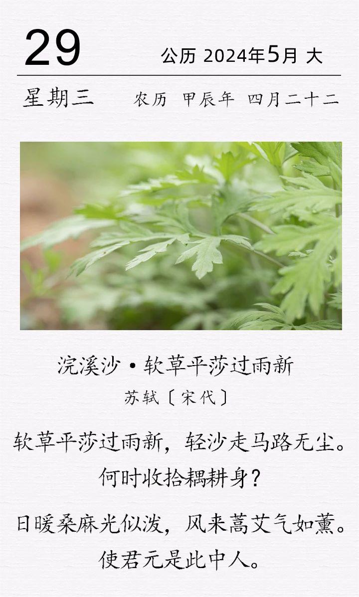 苏轼《浣溪沙·软草平莎过雨新》.jpg