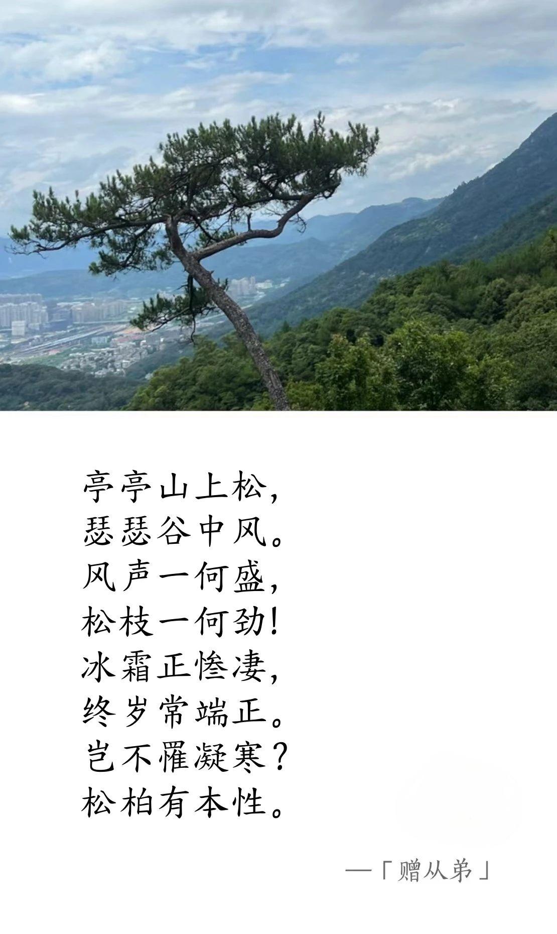 魏晋·刘桢《赠从弟》.jpg